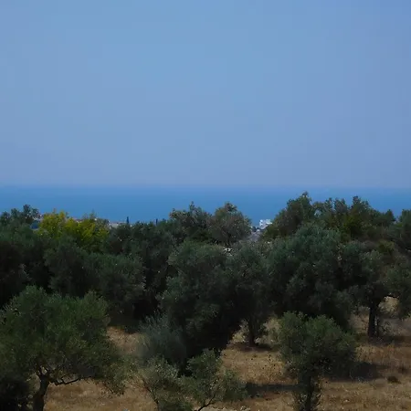 Roza